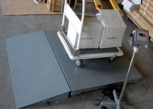 專業(yè)直供 1噸、2噸、3噸電子地磅與配套網(wǎng)絡(luò)技術(shù)服務(wù)，一站式解決方案